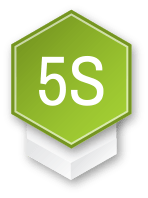 5S