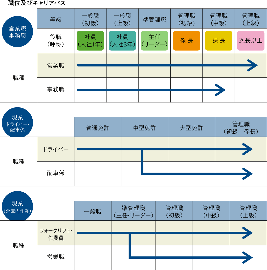職位及びキャリアパスの図